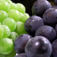 葡萄的营养价值